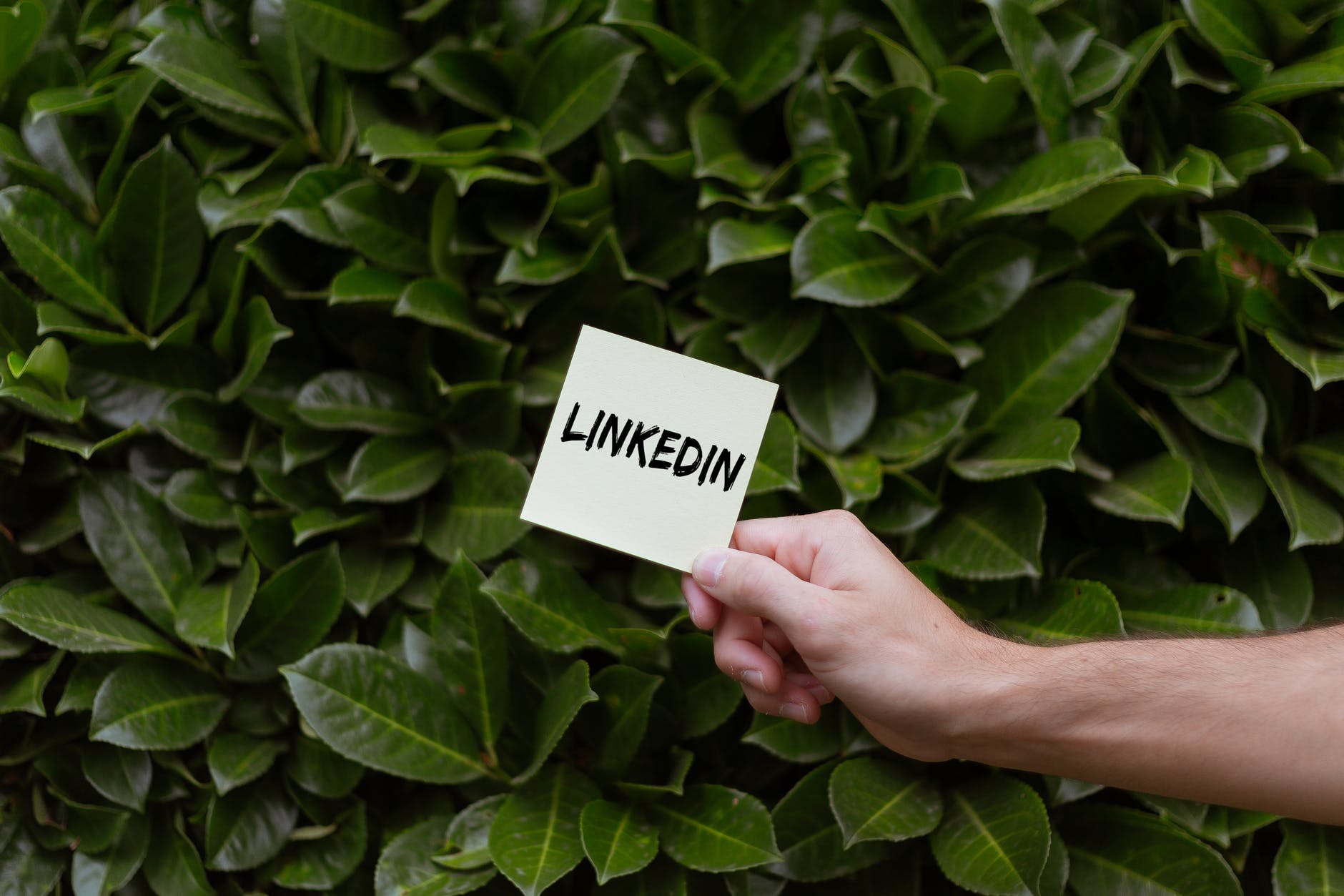 Read more about the article LinkedIn Ad Marketing